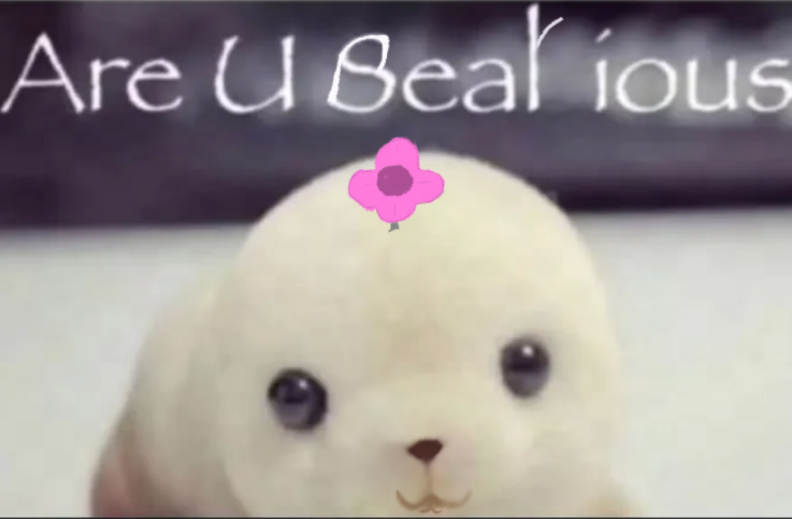 Bubblebear
